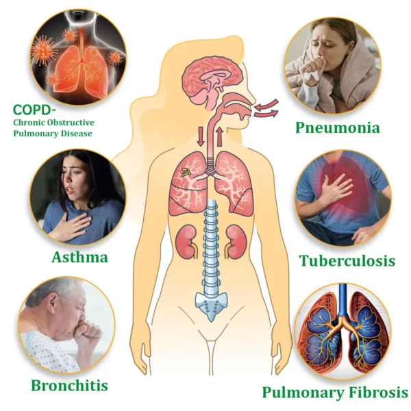 Official Store:Ourlyard™ Herbal Lung Cleansing Inhaler