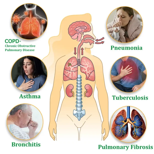 Official Store:Ourlyard™ Natural Herbal Lung Detox Inhaler