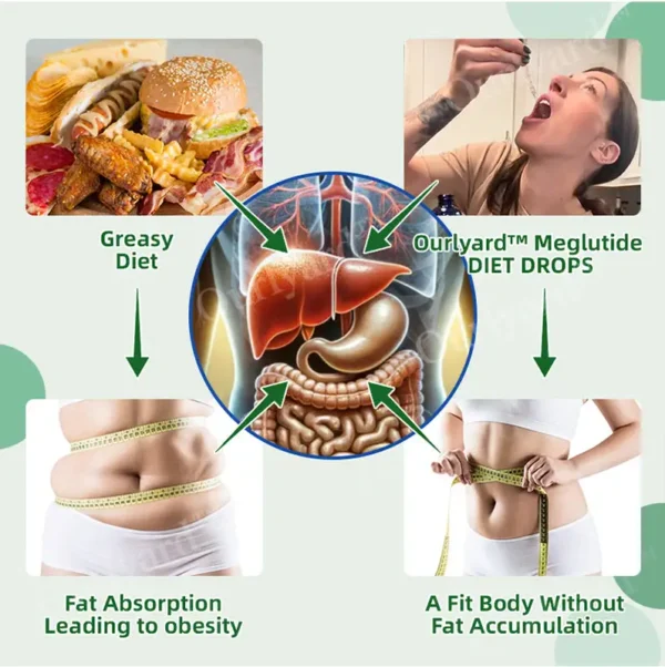 Ourlyard® Meglutide Diet Drops