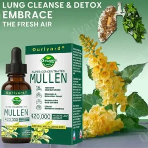 Ourlyard® Mullein Leaf Drops for Lungs