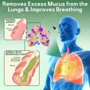 Ourlyard® Mullein Leaf Drops for Lungs