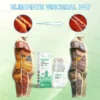 Ourlyard™ SMGT-GLP-1 Nano-Microneedle Bottle